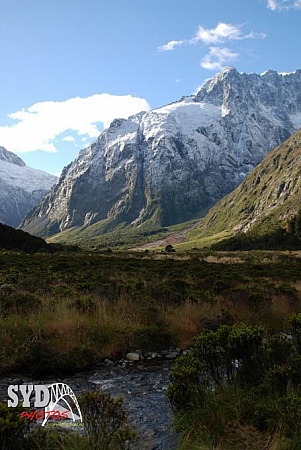 Landscape