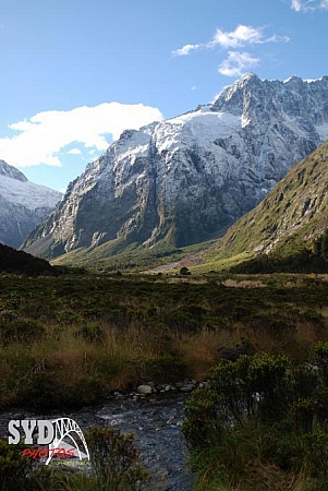 Landscape