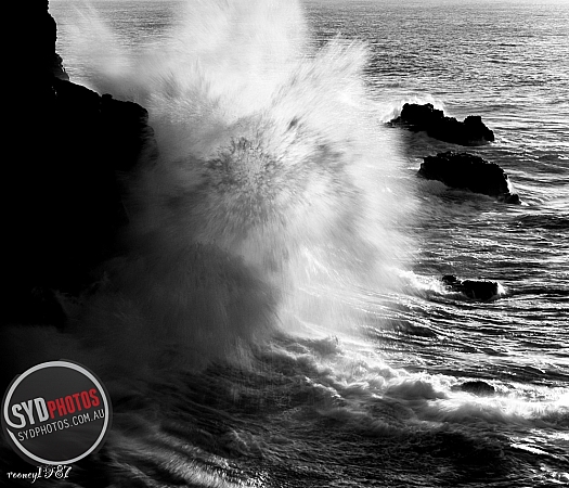 Photographers Portfolios