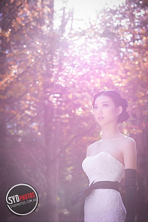 Photographers Portfolios
