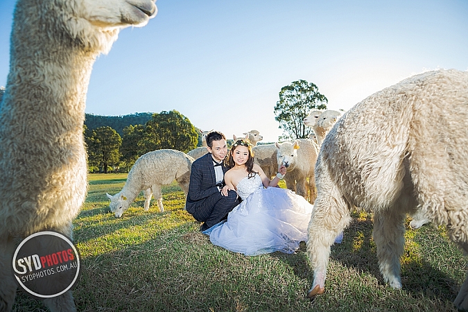 Best Pre Wedding Photography Sydney | Pre Wedding Photoshoot Sydney