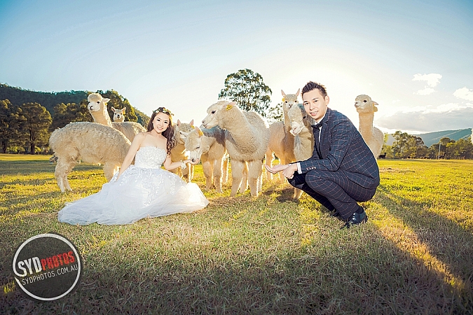 Best Pre Wedding Photography Sydney | Pre Wedding Photoshoot Sydney
