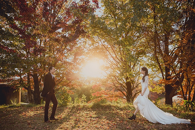 Blue Mountains Mount Wilson Pre Wedding Photoshoot Sydney